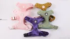Embroidered Mesh Dog Harness - Adjustable & Breathable 1