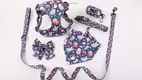 Customizable Soft Polyester Dog Harness Vest with Safety Buckle & Metal D-Ring 1