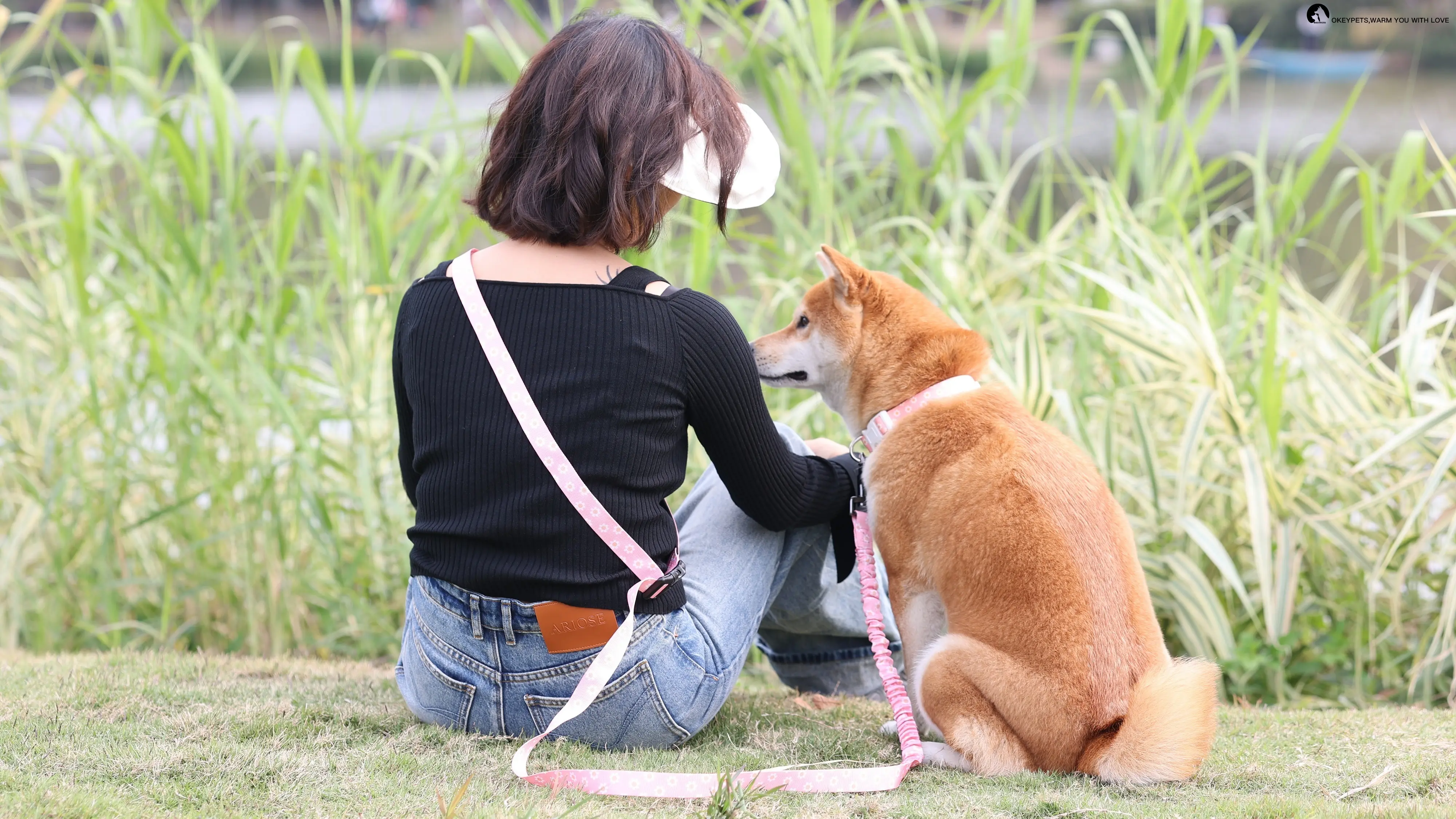 OKEYPETS Adjustable Hands-Free Dog Leash with Dual Handles & Reflective49 1