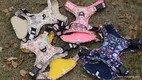 Lovecolour Custom Oxford Dog Harness: No Pull, Front Clip, Reflective, Breathable 1