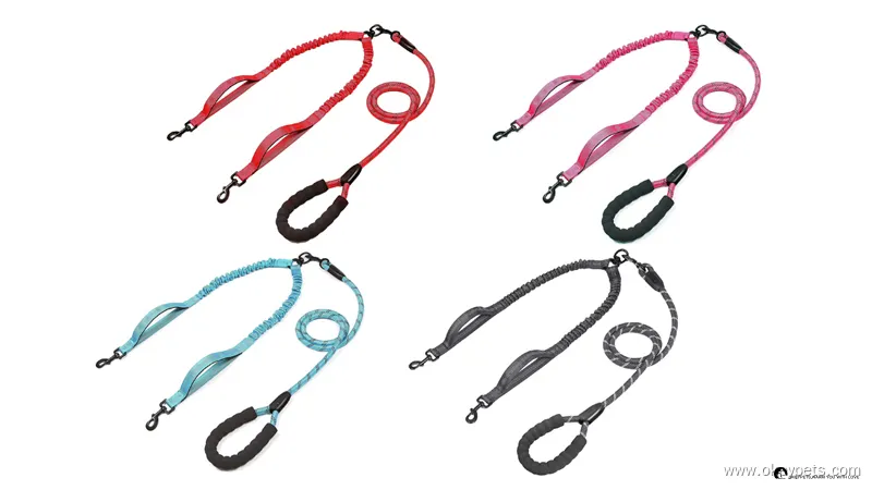 Double Bungee Dogs Leash - Efficient Control for Two Dogs 1