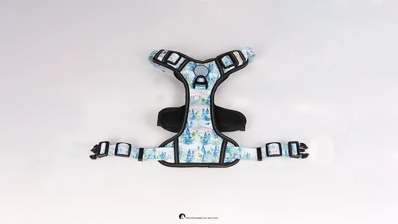 Best Small Dog Harness: Step-In Neoprene Adjustable Harness - No Pull & Durable 1