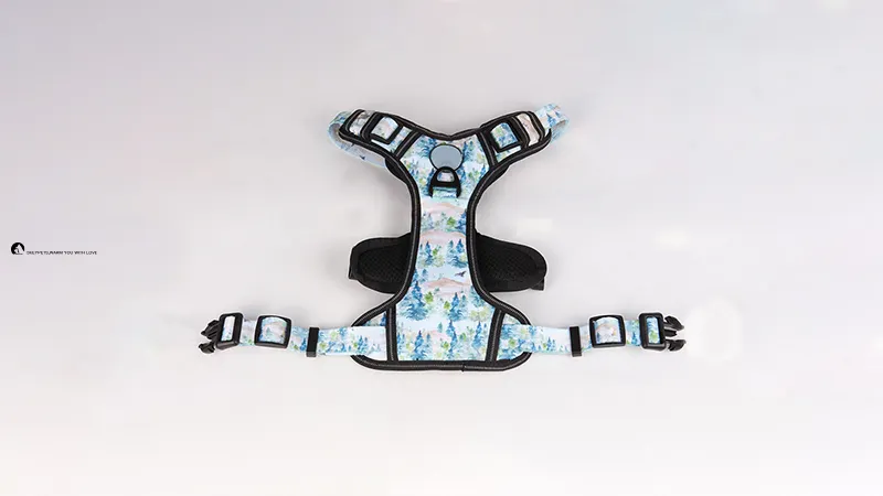 Breathable Mesh Dog Harness - Easy Step-In Design, Adjustable Straps 1