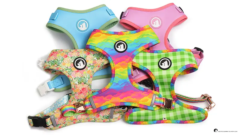 Custom Colorful Dog Vest Harness: Personalize Your Pup's Style 1