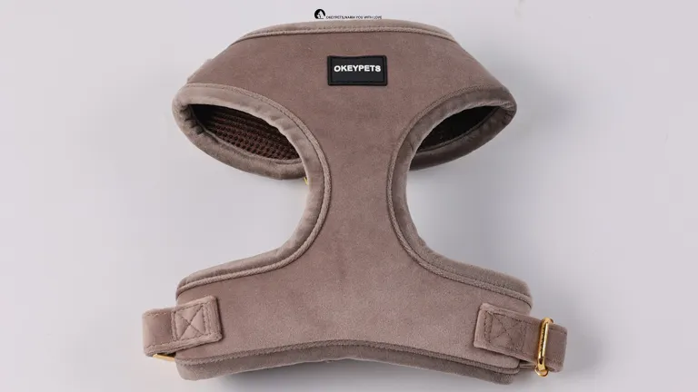 Soft Breathable Dog Walking Harness 1