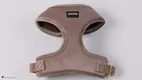 Soft Velvet Dog Harness with Breathable Mesh - Adjustable and Fashionable 1
