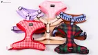 Breathable Neoprene Outdoor Dog Harness 1