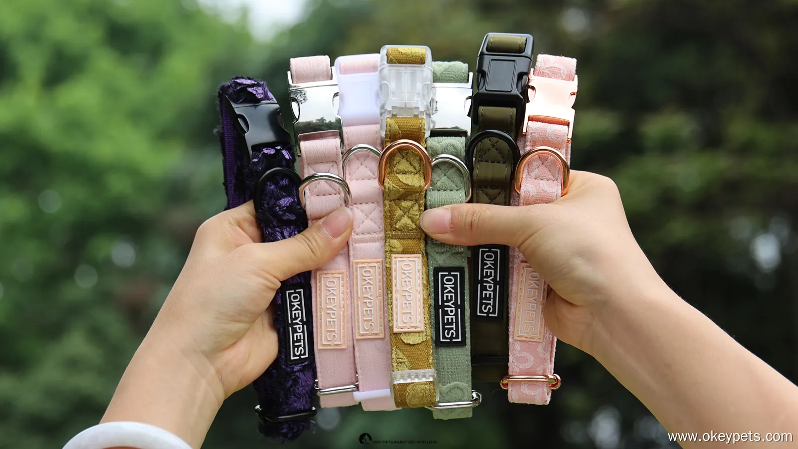 Puppy Collar: Comfortable and Durable 1