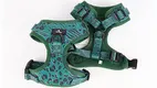 Soft Padded Nylon Dog Harness 1