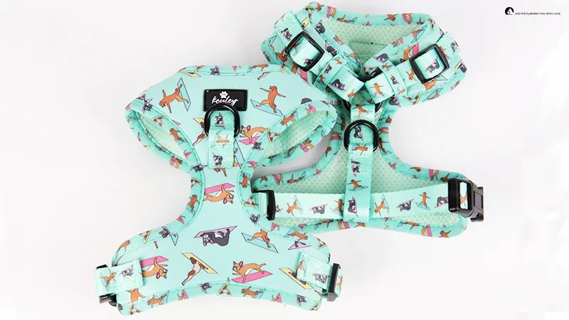 LED Dog Harness for Safety and Style 1