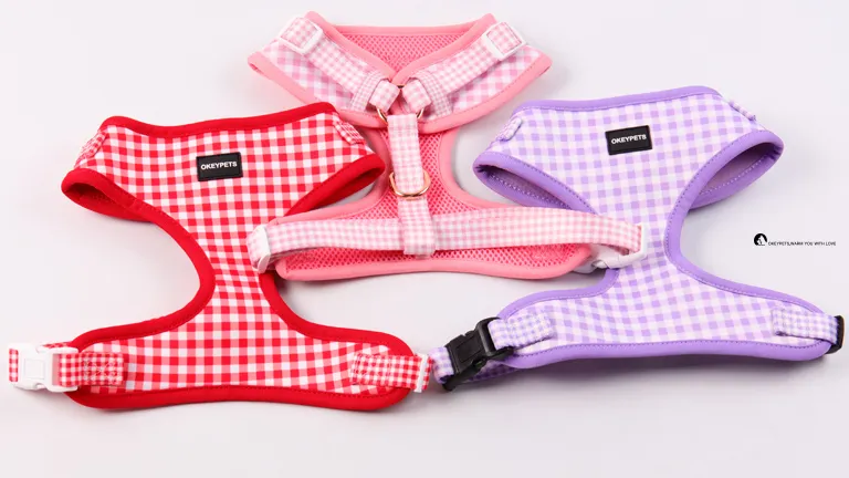 Pitbull Heavy Duty Neoprene Dog Harness 1