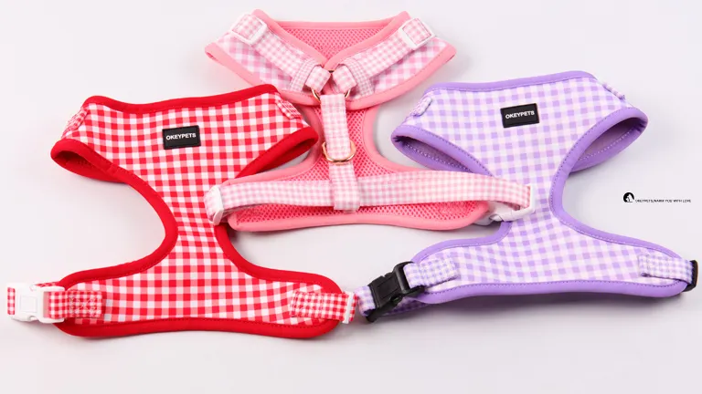 Breathable Quick-Dry Dog Mesh Vest Harness with Adjustable Straps 1