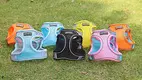 Reflective Breathable Mesh Dog Harness - Easy to Clean, No-Choke Design 1