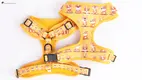 Custom Name Dog Harness: Comfortable, Stylish, and Secure 1