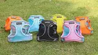 Reflective Mesh Dog Harness for Small Breeds - Lightweight, Comfortable, No-Pull Design 1
