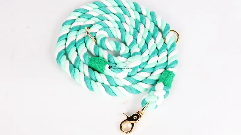 Iall Madra Rópa Lámhdhéanta Il-dhathach le Carabiner 1