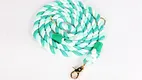 Iall Madra Rópa Lámhdhéanta Il-dhathach le Carabiner 1