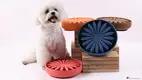 Slow Feeder Dog Bowl - Food Grade Silicone, Microwave & Freezer Safe 1