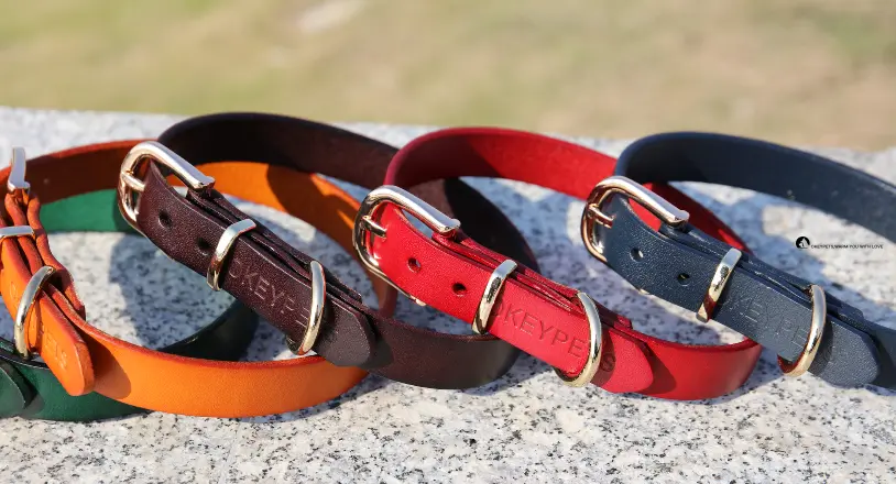 OKEYPETS Personalized Luxury Genuine Leather Dog Collar - Durable & Stylish 1