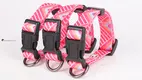 Adjustable Small Dog Collar with Bow, Soft Durable Polyester & Safety Buckle 1