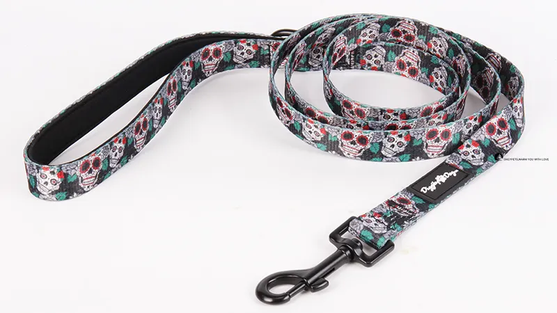 Duurzame polyester hondenriem - Beste kwaliteit en keuze 1