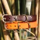 Collar de cuero personalizable para perros: calidad premium y personalizado 1