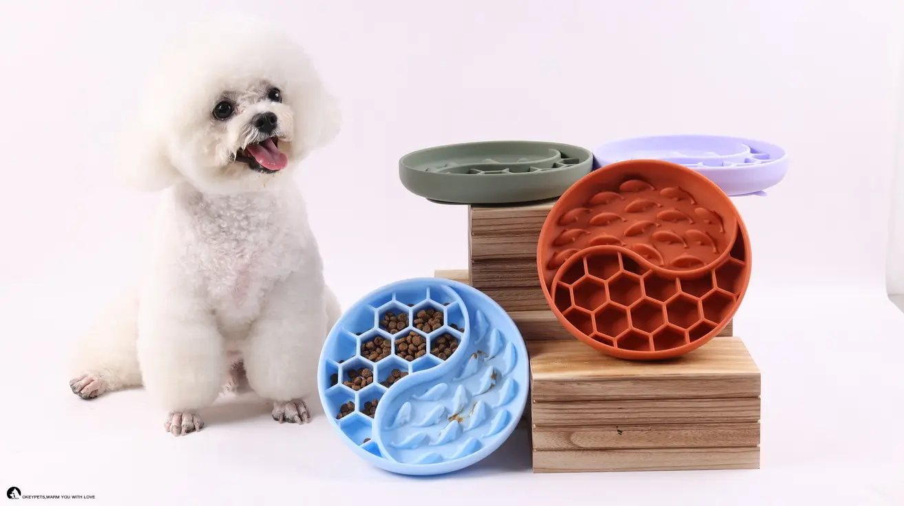 Patina Canina Lente Cibaria — Inflationem et Pericula Suffocationis Impedit 1