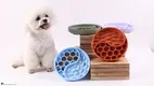 Patina Canina Lente Cibaria — Inflationem et Pericula Suffocationis Impedit 1
