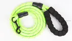 Strapazierfähige, reflektierende Hundeleine – perfekt zum Wandern 1
