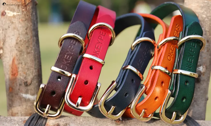 Luksusowa skórzana obroża dla psa – trwała, wodoodporna konstrukcja 1