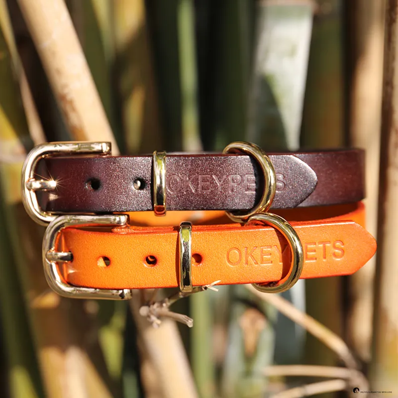 Collar de cuero de lujo para perros: comodidad y calidad garantizadas 1