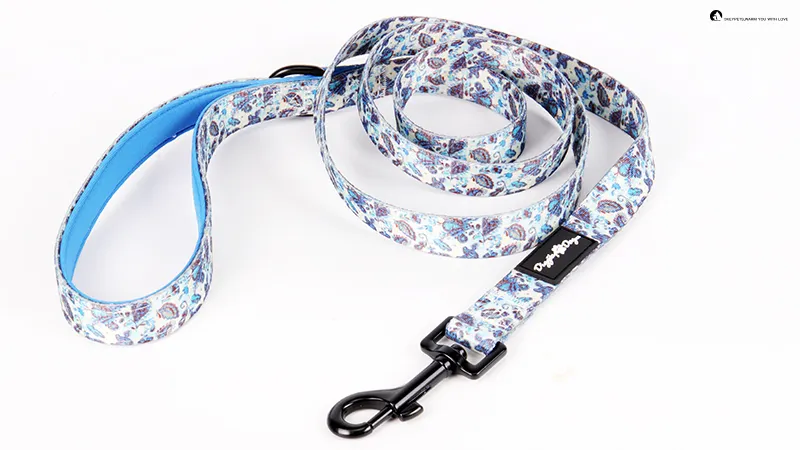 High-Quality Polyester Dog Leash with Handle and Matching Collar 1