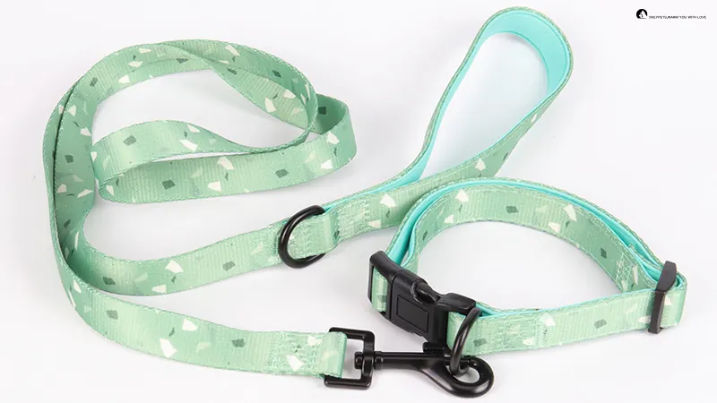 Durable Polyester Dog Collar with Quick Release Buckle by OKEYPETS 1