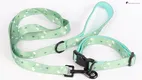 Durable Polyester Dog Collar with Quick Release Buckle by OKEYPETS 1