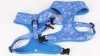Neoprene Padded Dog Harness: Comfortable and Secure Fit 1