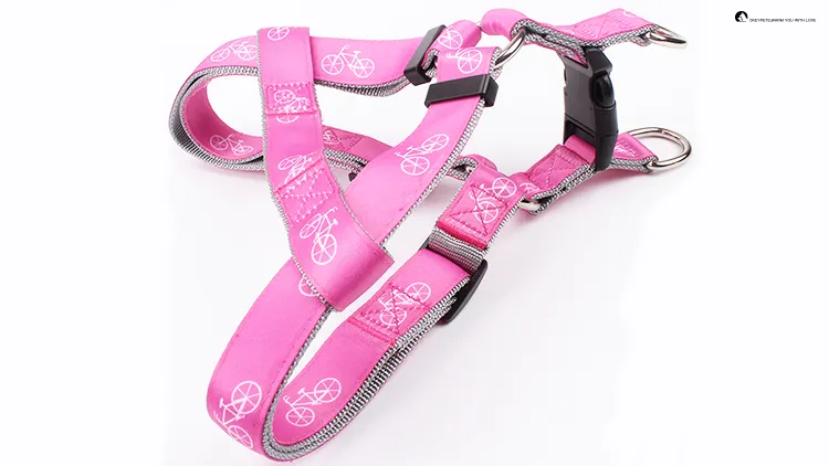 Dog Carrying Harness for Comfortable Walks 1