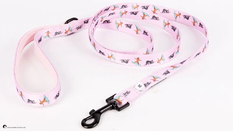 Nylon Dog Leash with Neoprene Padded Handle 1