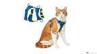 Breathable Mesh Cat Harness – Adjustable and Comfortable 1