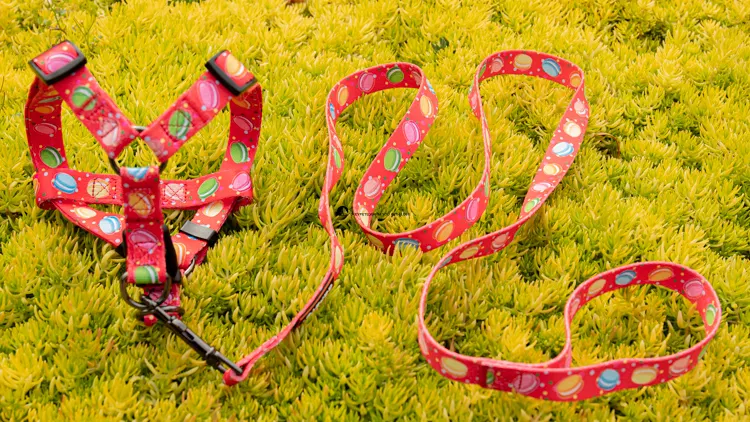 Custom Dog Harness Manufacturer: OKEYPETS 1