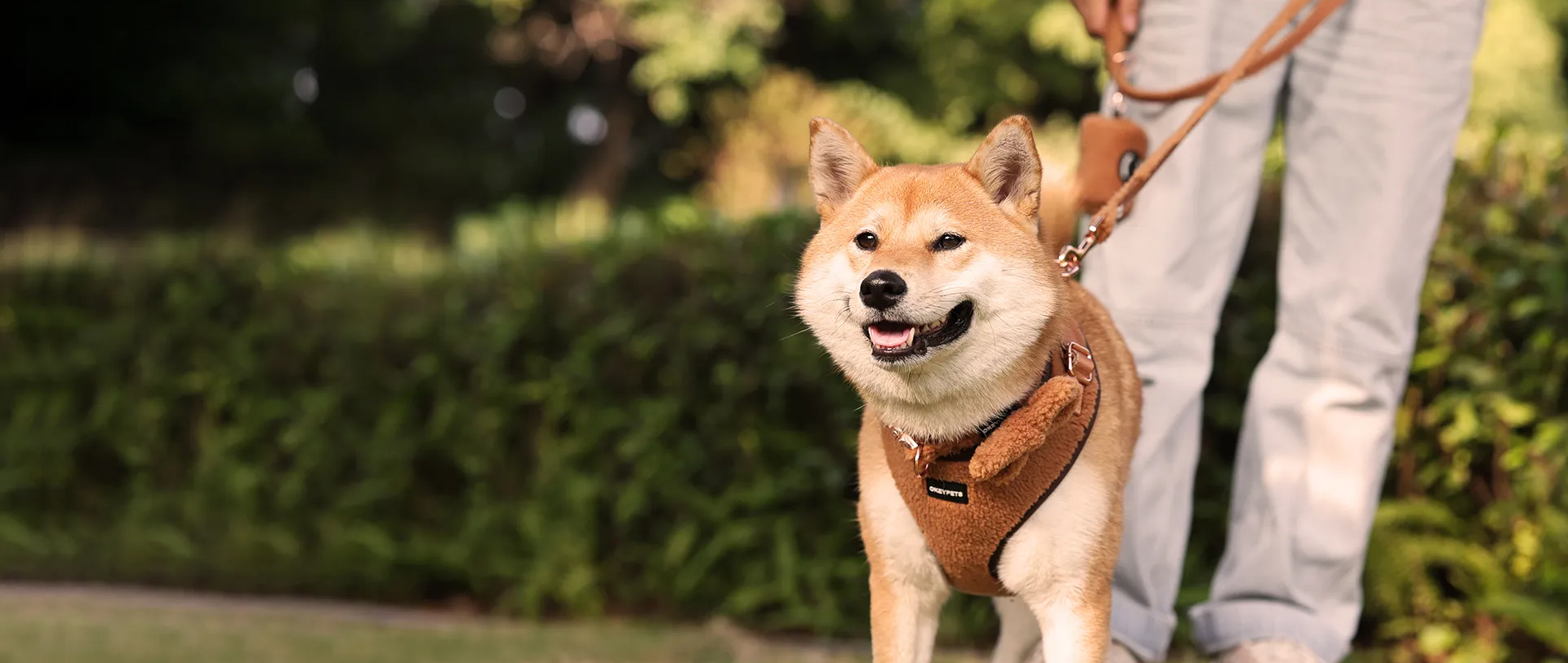 10 years Pets Products Production R&D Experience