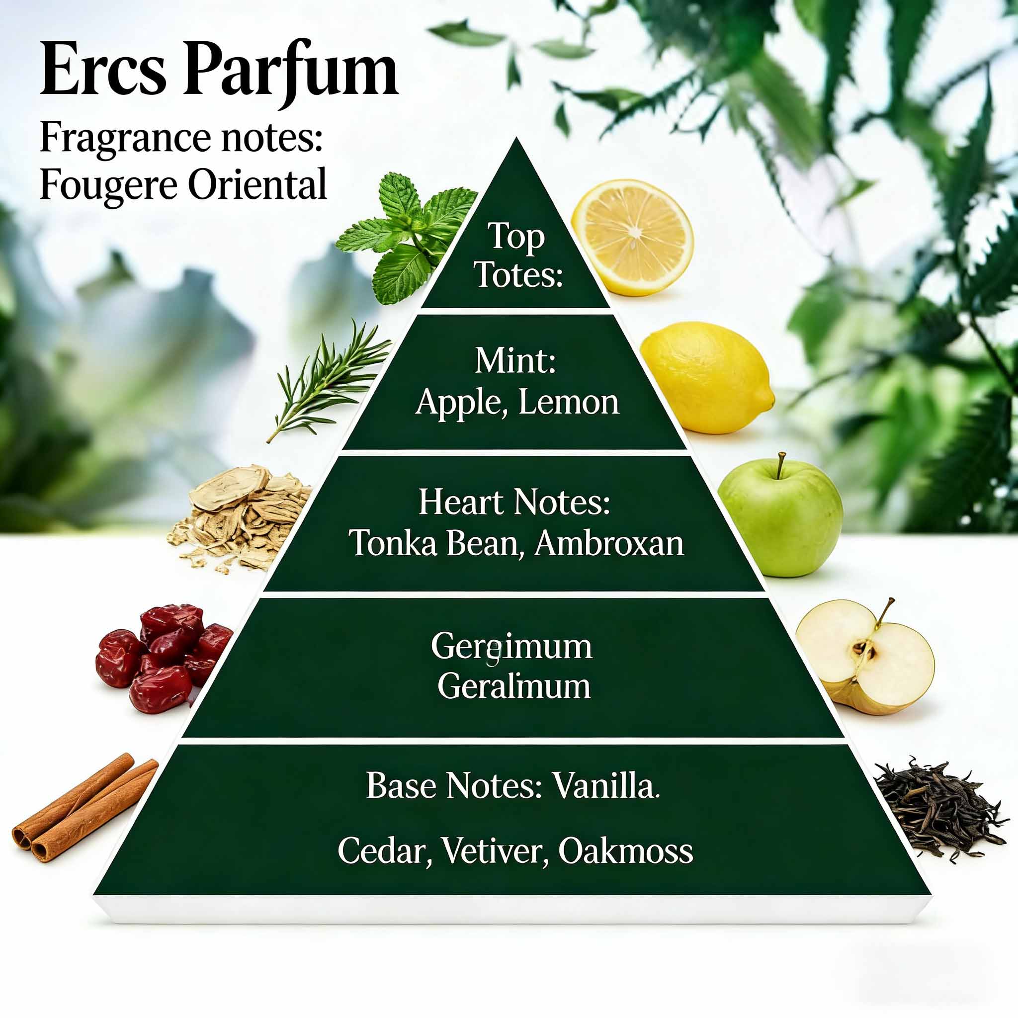 Aceite de fragancia para perfumes al por mayor para la producción de perfumes. Servicio de pedidos al por mayor OEM/ODM. 2