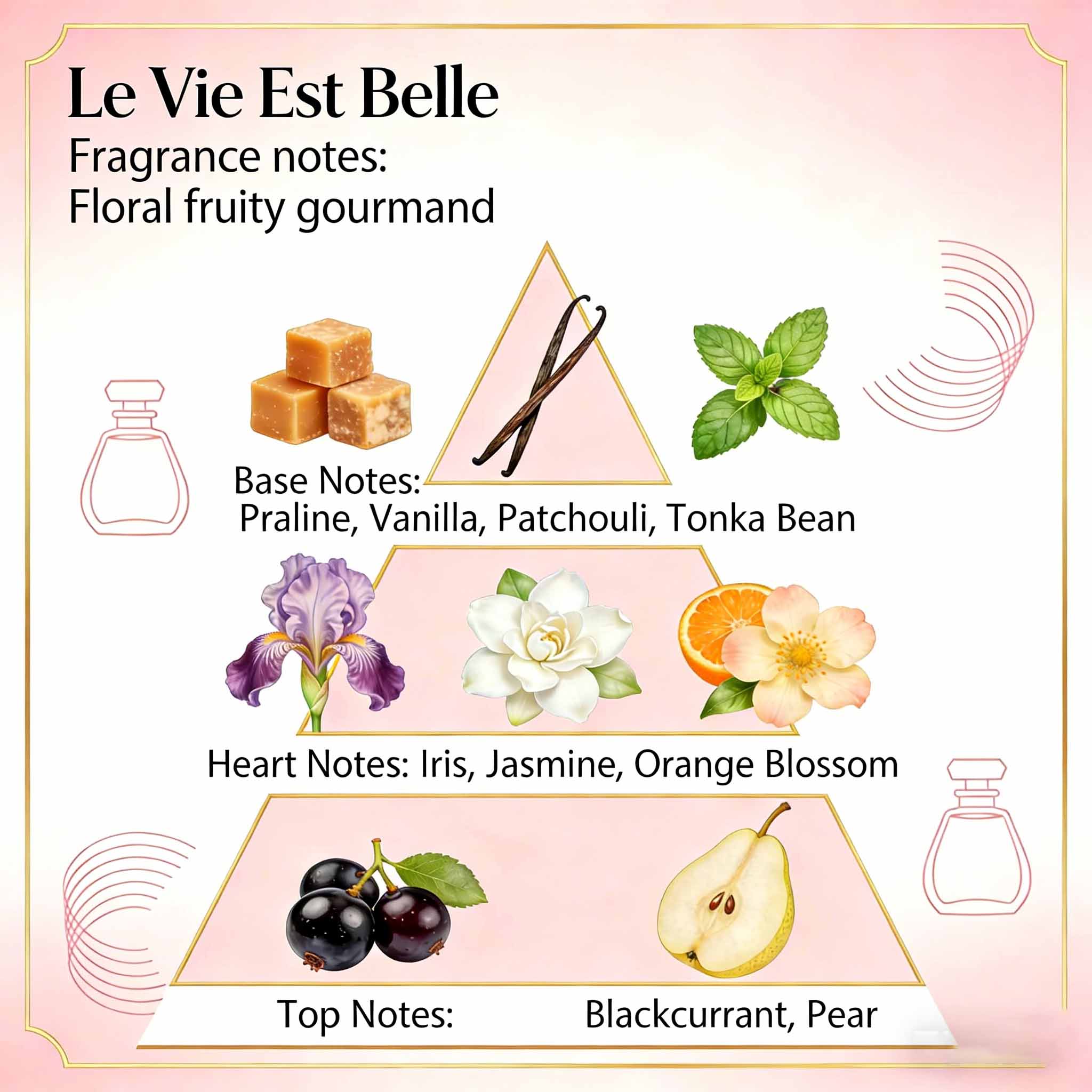 Bulk Perfume Fragrance Oil from Factory for Branded Perfume Formulation MOQ 5KG 2