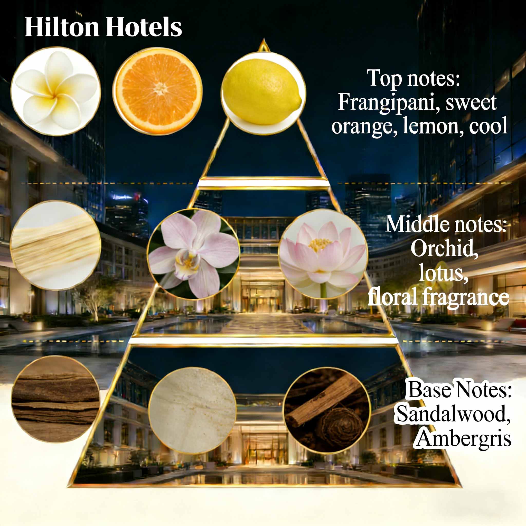 OEM/ODM-Services Hotel-Aromaöl für Diffusoren, inspiriert von Hilton Hotels 2