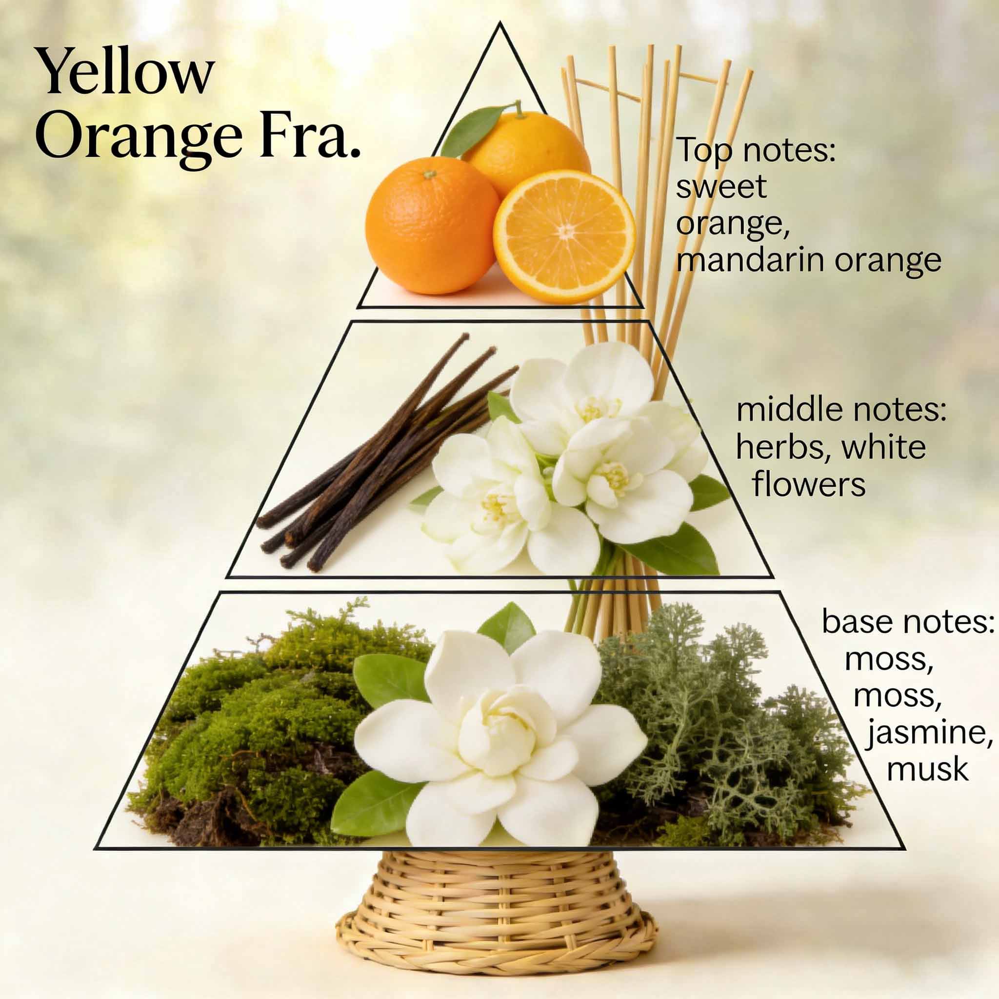 Luxury reed diffuser oils for elegant home fragrance 2