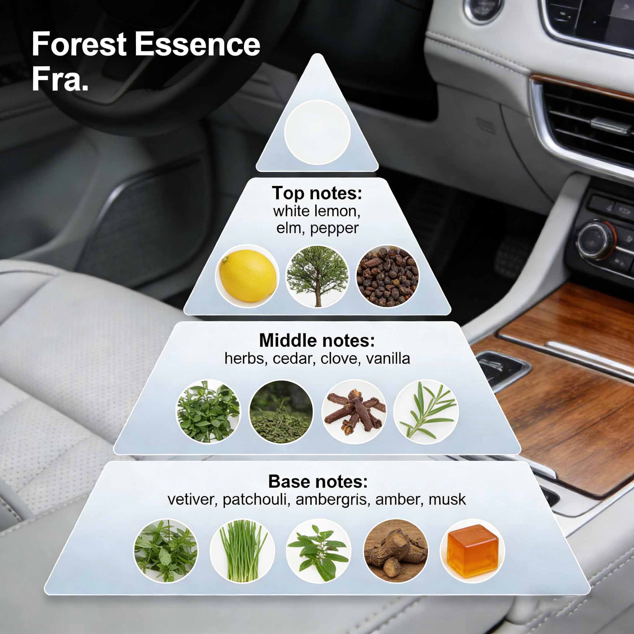 Huiles parfumées de luxe pour voiture, inspirées par les créateurs. 2