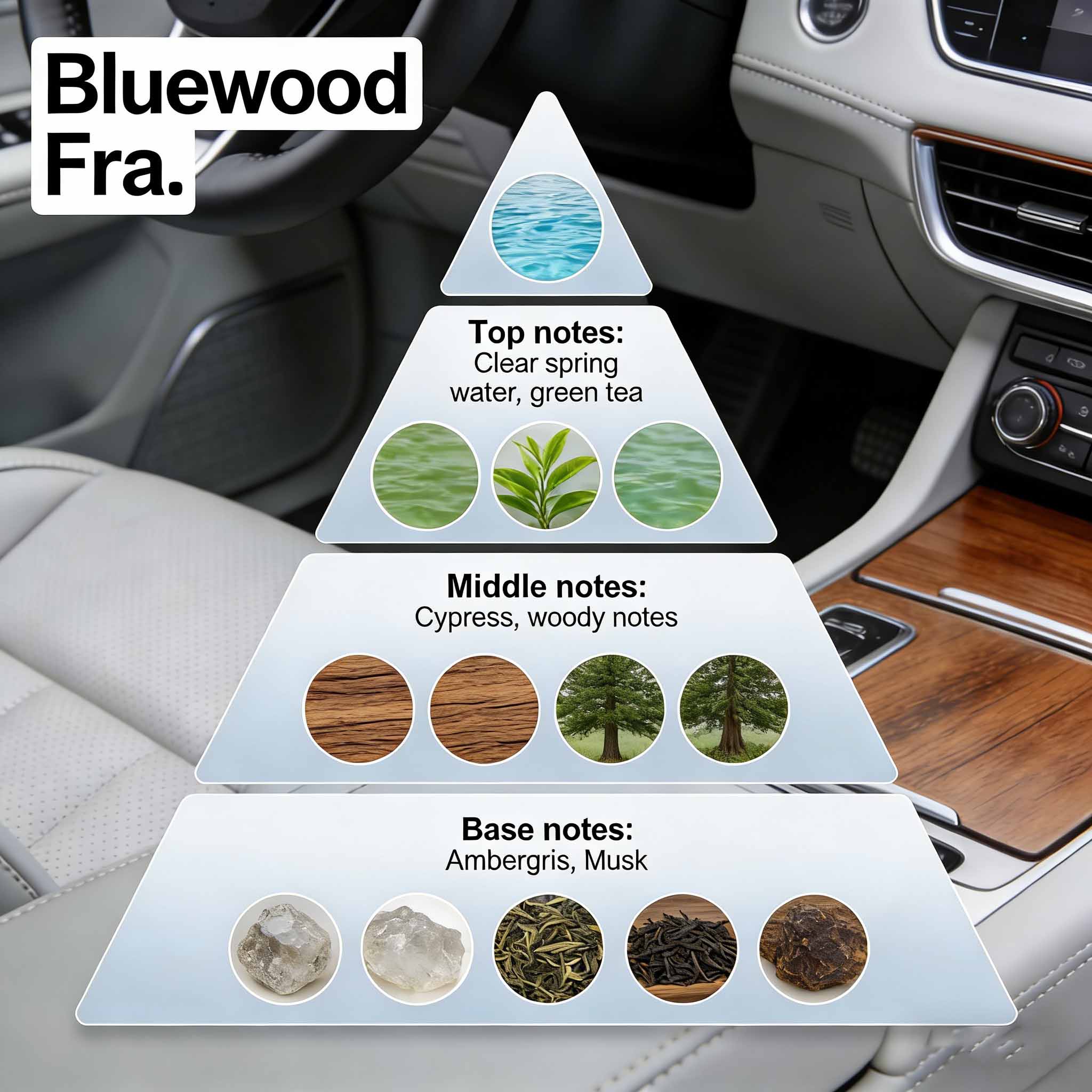 Aceites aromáticos premium para automóviles para aromas frescos y duraderos. 2