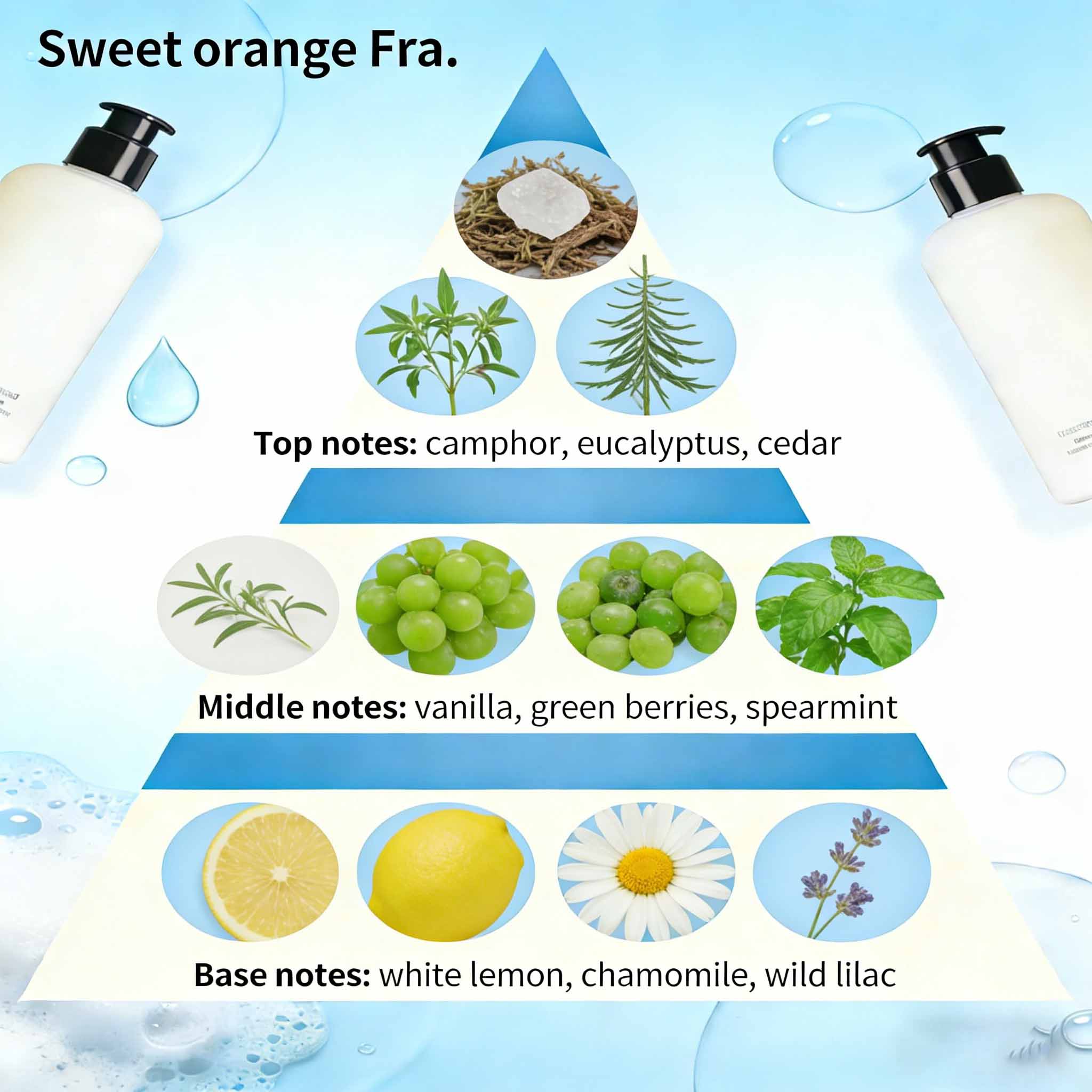 Long Lasting Scent Body Wash Fragrance For Shower Products 2