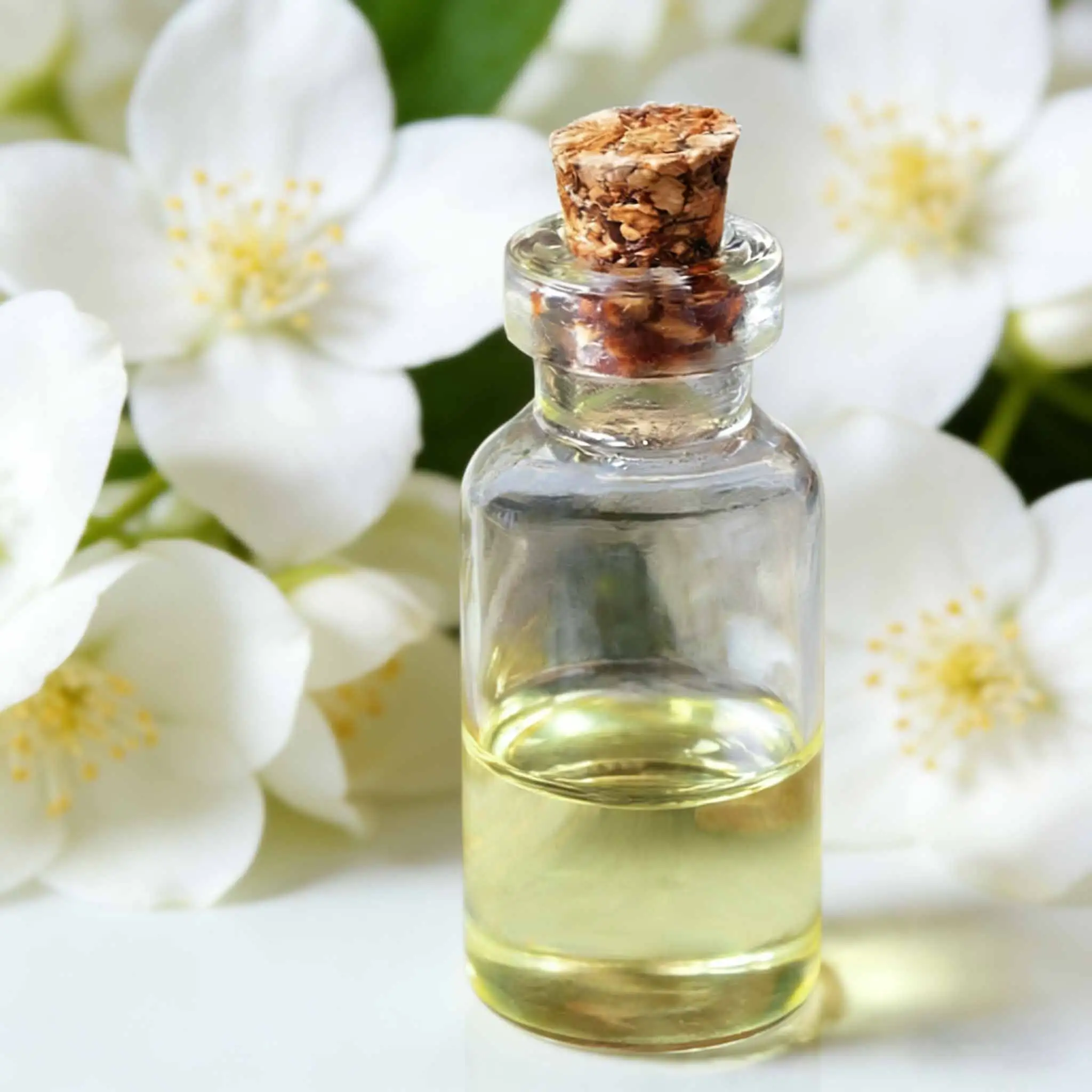 Aceite esencial de extracto vegetal orgánico para producción de marca blanca 1