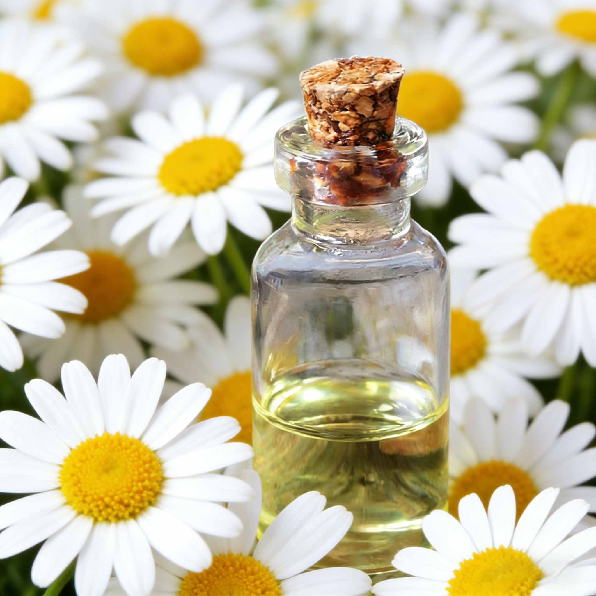 Aceite esencial orgánico obtenido de extractos de plantas naturales. 1