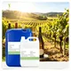 Best Wine Flavors Food Flavorings Wholesale - MANROFUN 1
